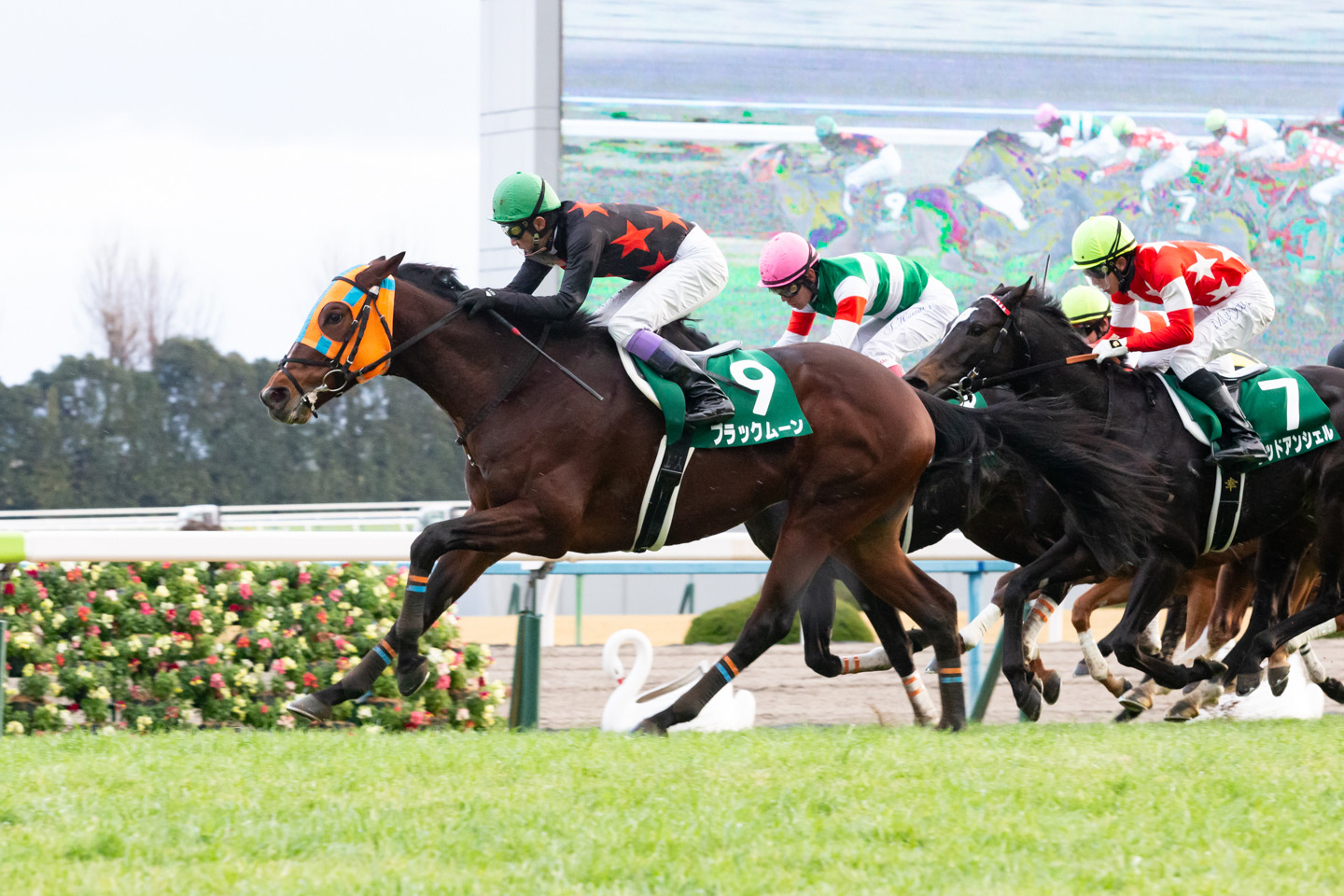 2018.1.6京都金杯（GIII）優勝